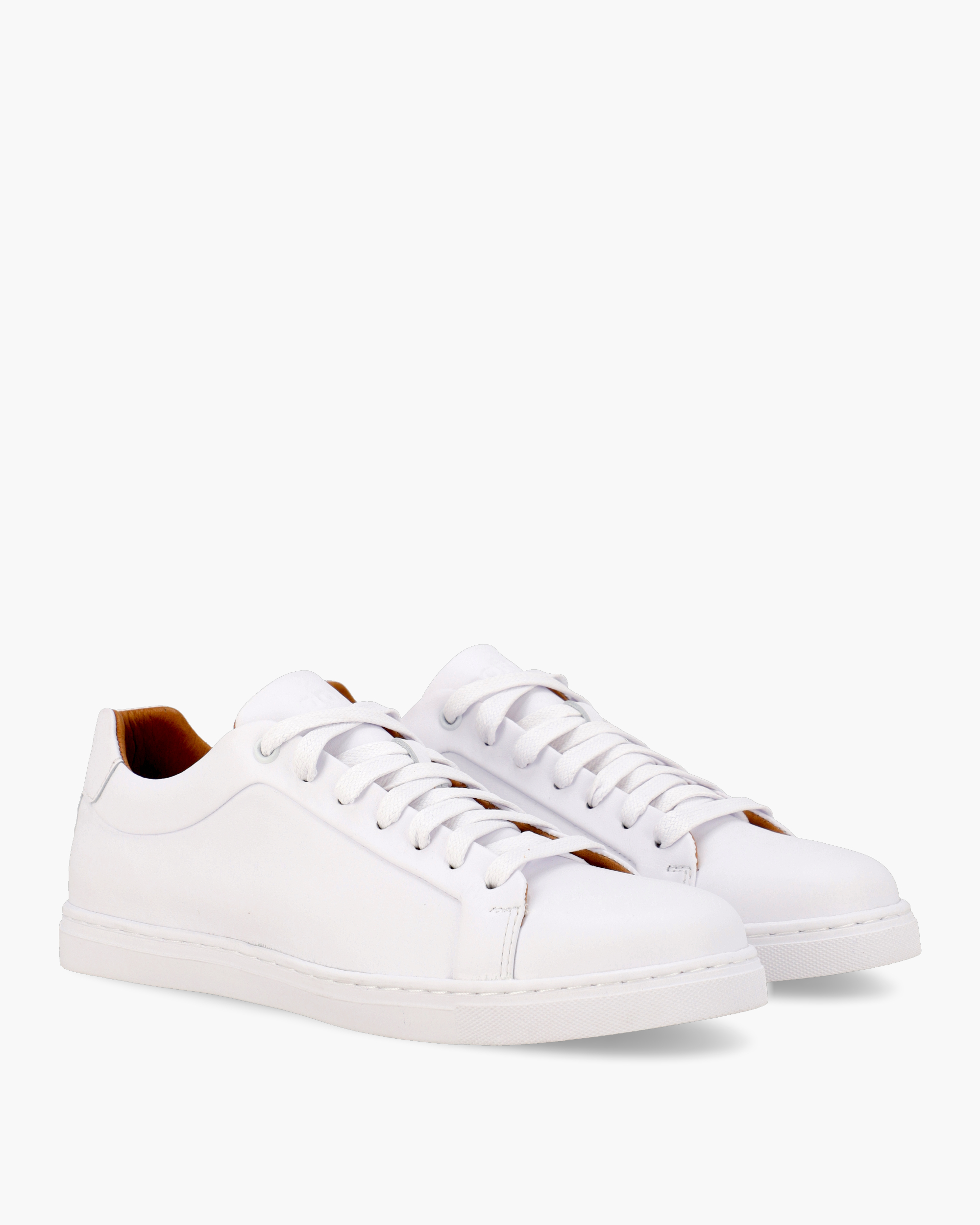 DORIAN | zapatos camperas equipaje Bologna White Sneakers